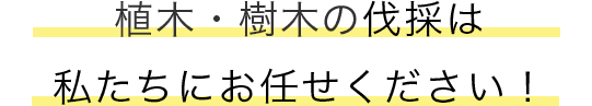 庭木・植木の剪定・刈込は 私たちにお任せください！