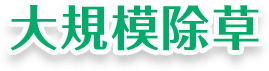 大規模除草