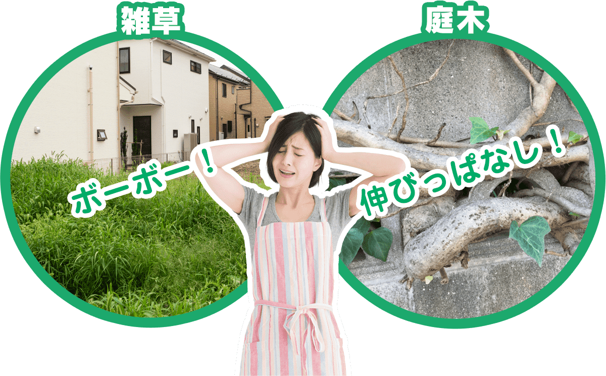 雑草・庭木 ボーボー！伸びっぱなし！