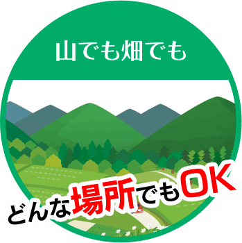 香川の伐採屋さん【剪定・抜根・草刈り】は山でも畑でもどんな場所でもOK